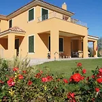 Viniola