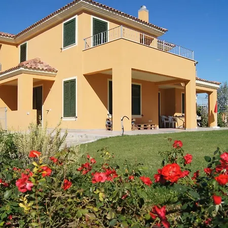 Viniola